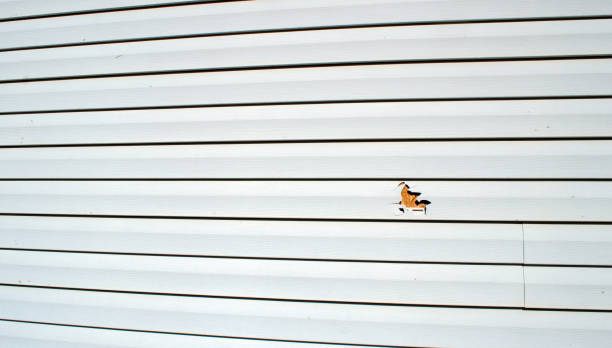 Reliable Woods Cross, UT Siding Installation & Repair Solutions